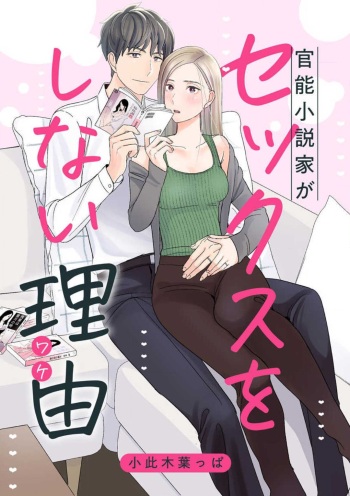 官能小説家がセックスをしない理由 cover