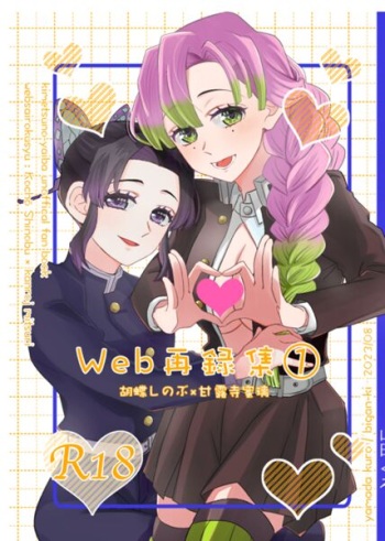 Web Sairokushuu 1 cover