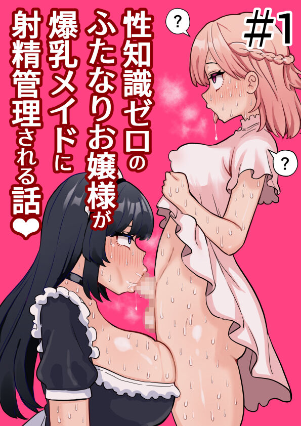 Seichishiki Zero no Futanari Ojousama ga Bakunyu Maid ni Shaseikanri Sareru Hanashi page 1 full