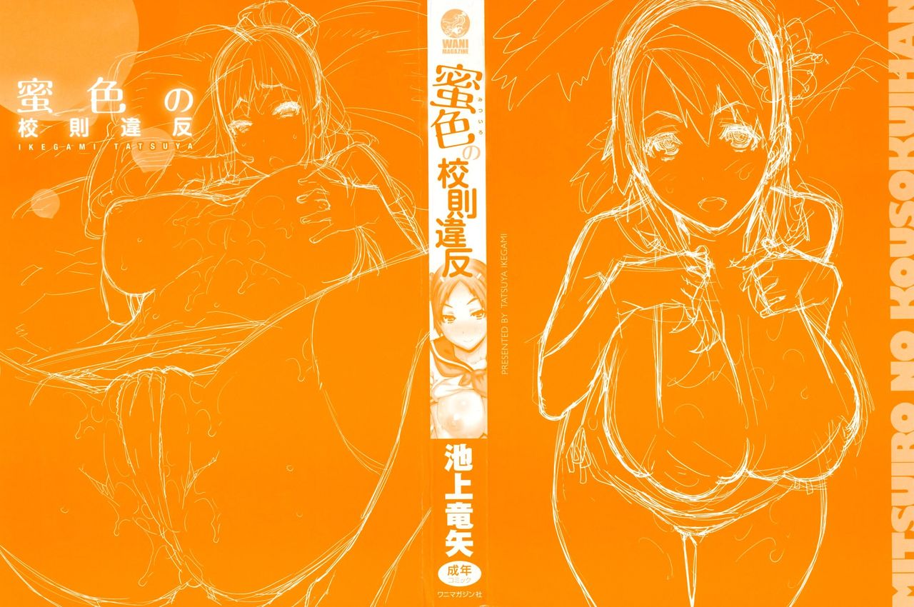 Mitsuiro no Kousokuihan   =EES= &amp; =SDnF= page 3 full