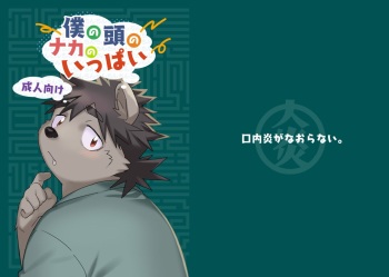 Boku no  Atama no Naka no Ippai cover