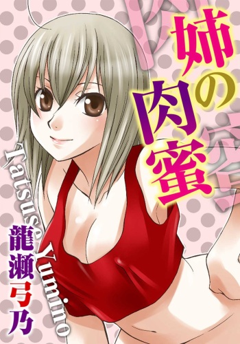 Ane no Nikumitsu cover