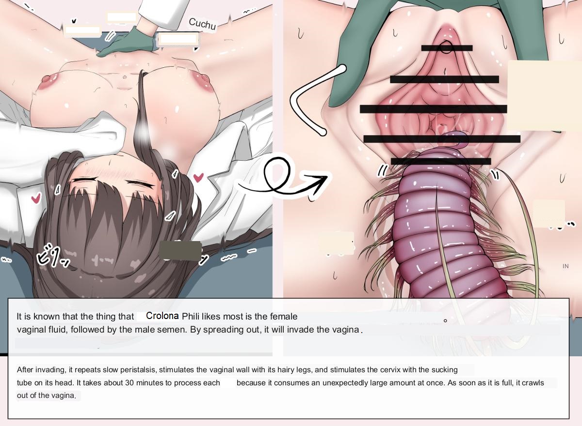Mushi Research Report No. 13 page 2 full