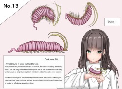 Mushi Research Report No. 13
