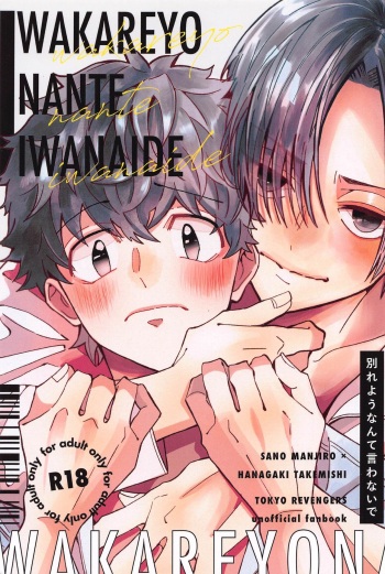 Wakareyou natte  nante Iwanai de cover