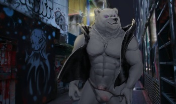 FHcat cover
