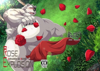 Rose Explosion | Explosión de Rosas - cover