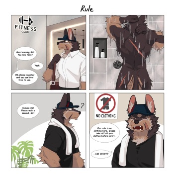 Gym's Rule cover
