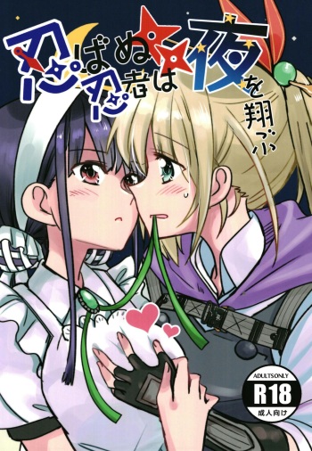 忍ばぬ忍者は夜を翔ぶ cover