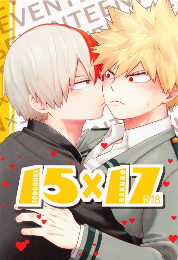 15×17 cover