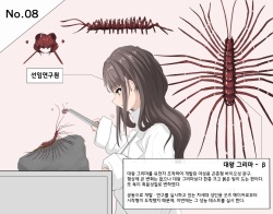 Mushi Research Report No.8
