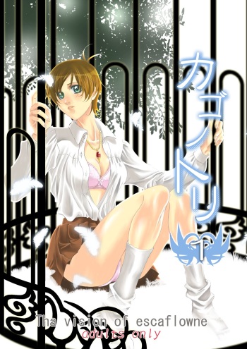 Bird in a Box 1 cover