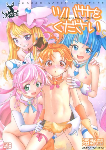Tsubasa o Kudasai cover