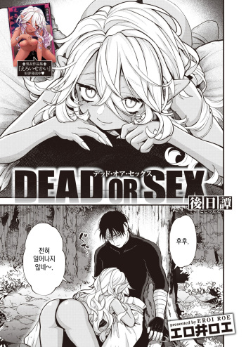 DEAD OR SEX Gojitsutan | DEAD OR SEX -후일담- cover
