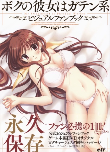 My Sweetheart is Physical Worker VISUAL FAN BOOK cover