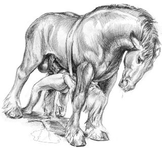 Animal-Art01 page 6 full