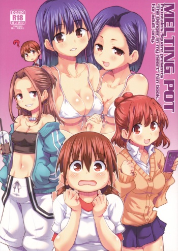 MELTING POT cover