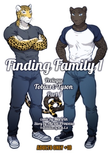 Finding Family Volumen 1 cover