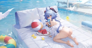 Alter cover