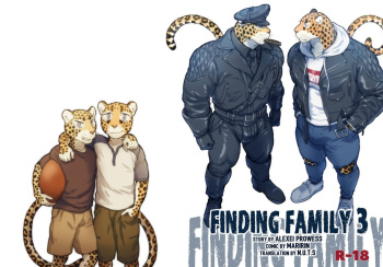 Finding Family Volumen 3 cover