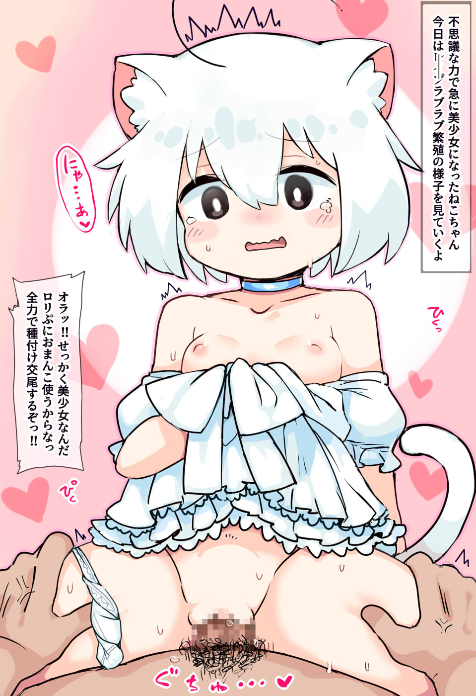 USM Neko-chan page 1 full