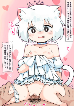 USM Neko-chan