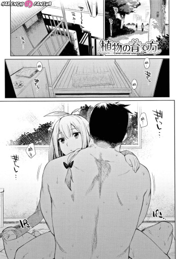 Shokubutsu no Sodatekata | Como cultivar una planta cover