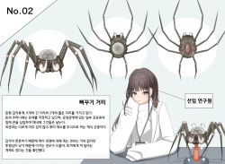Mushi Research Report No.2