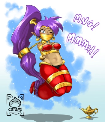 Shantae Collection cover