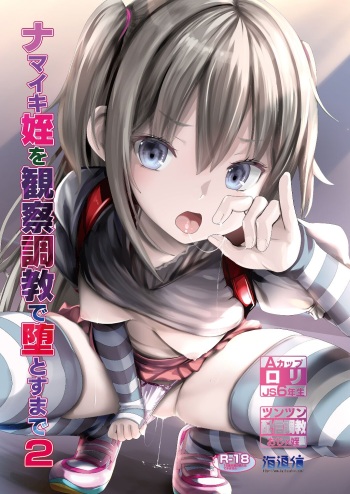 Namaiki Mei o Kansatsu Choukyou de Otosu Made 2 cover