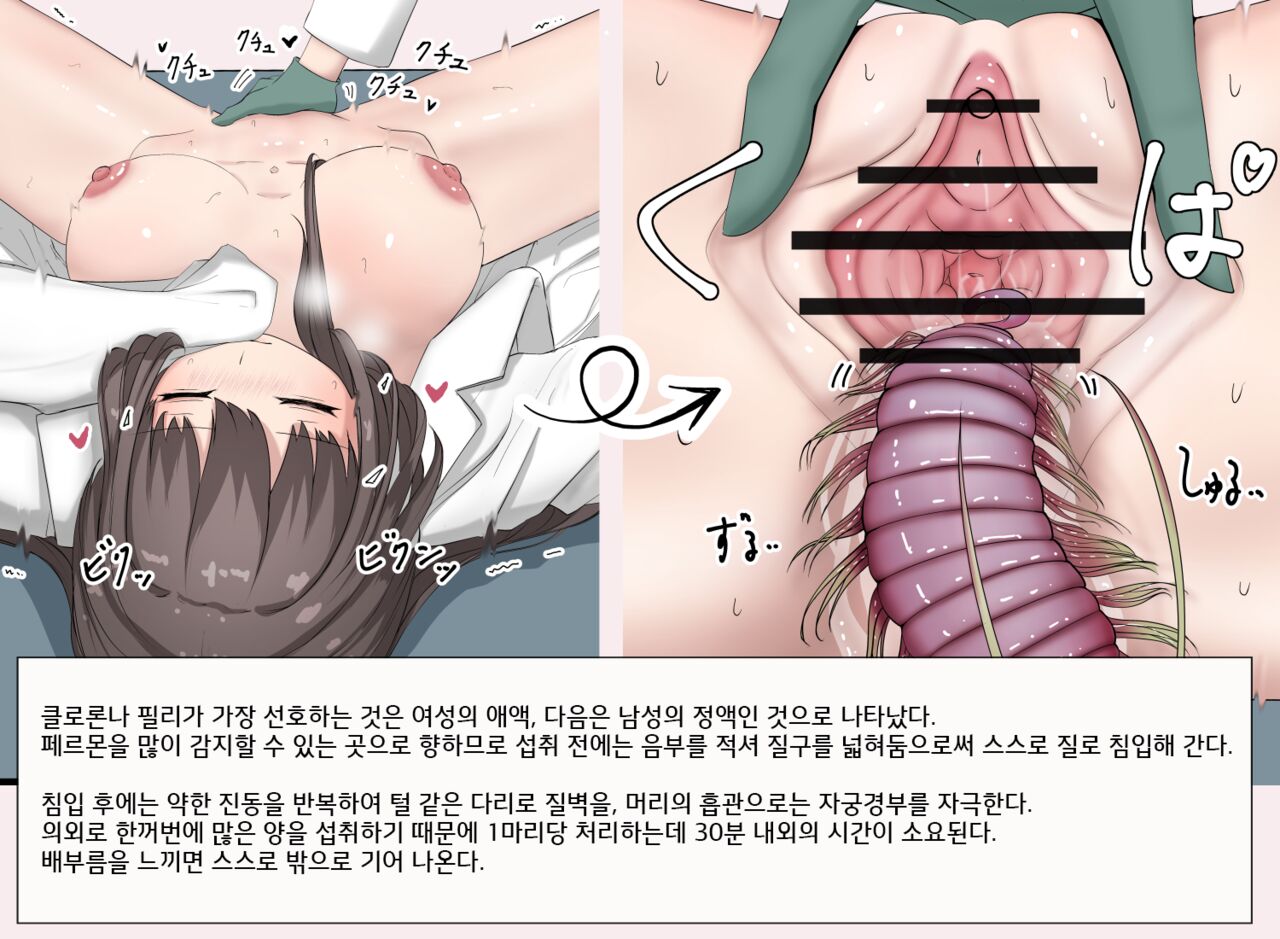 Mushi Research Report No.13 page 2 full