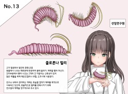Mushi Research Report No.13