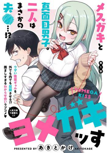 ●PIXIV● あきとかげ cover