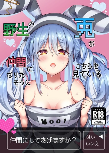 Yasei no Usagi ga Nakama ni Naritasou ni Kochira wo Miteiru cover