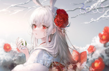 ●PIXIV● きのこ姫 cover