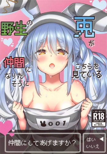 Yasei no Usagi ga Nakama ni Naritasou ni Kochira wo Miteiru cover