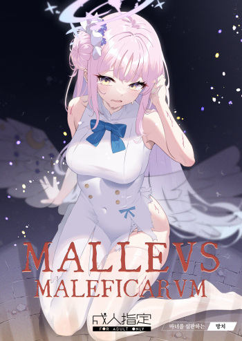 Malleus Maleficarum -Majo ni Ataeru Tettsui- | Malleus Maleficarum -마녀를 심판하는 망치- cover