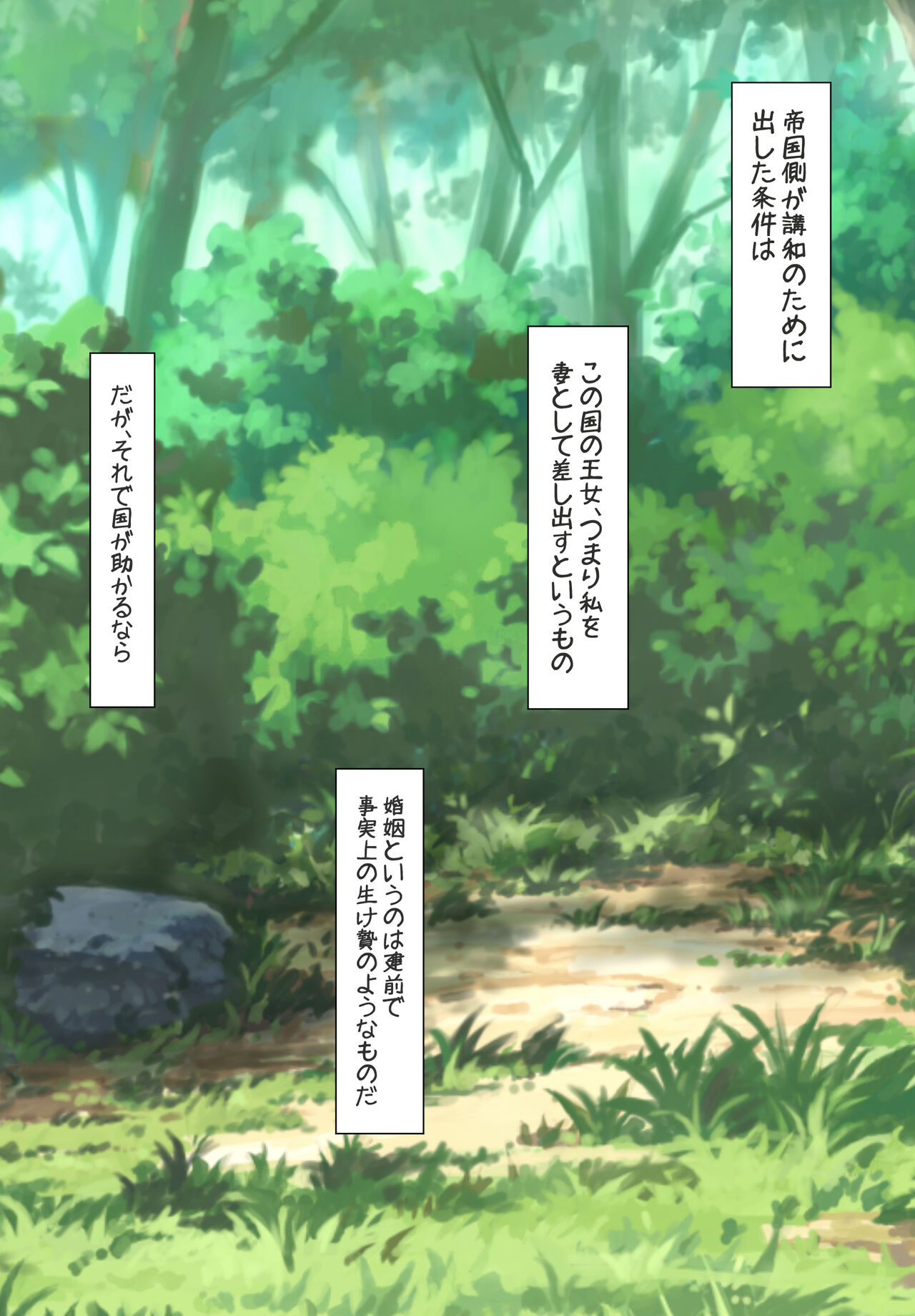 Bokoku no Hime wa Tekkoku Nite Dorei to Naru page 4 full