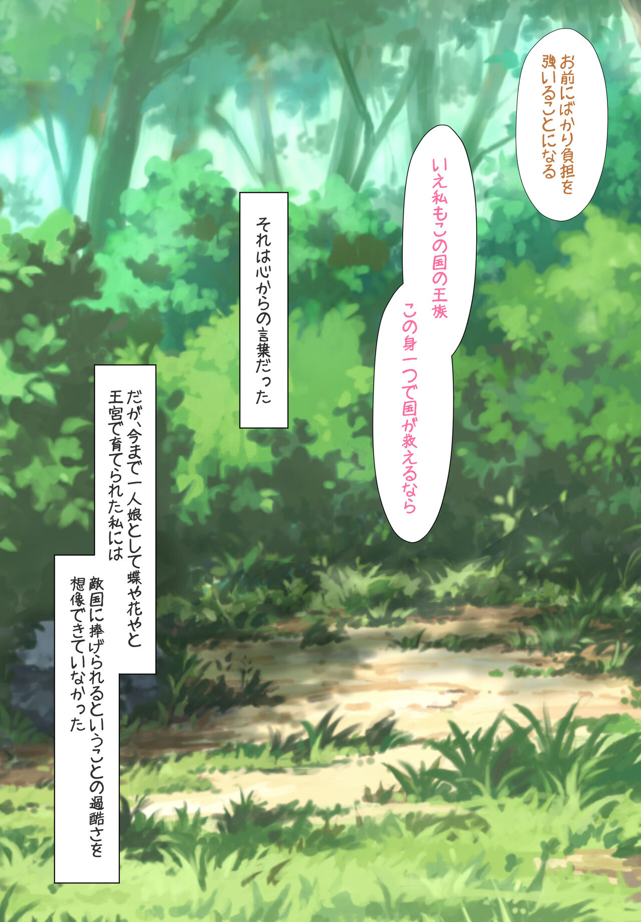 Bokoku no Hime wa Tekkoku Nite Dorei to Naru page 5 full