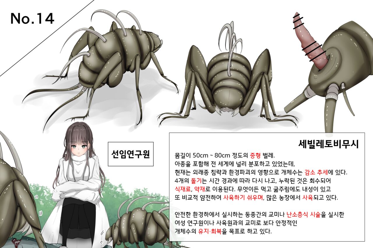 Mushi Research Report No.14 page 1 full