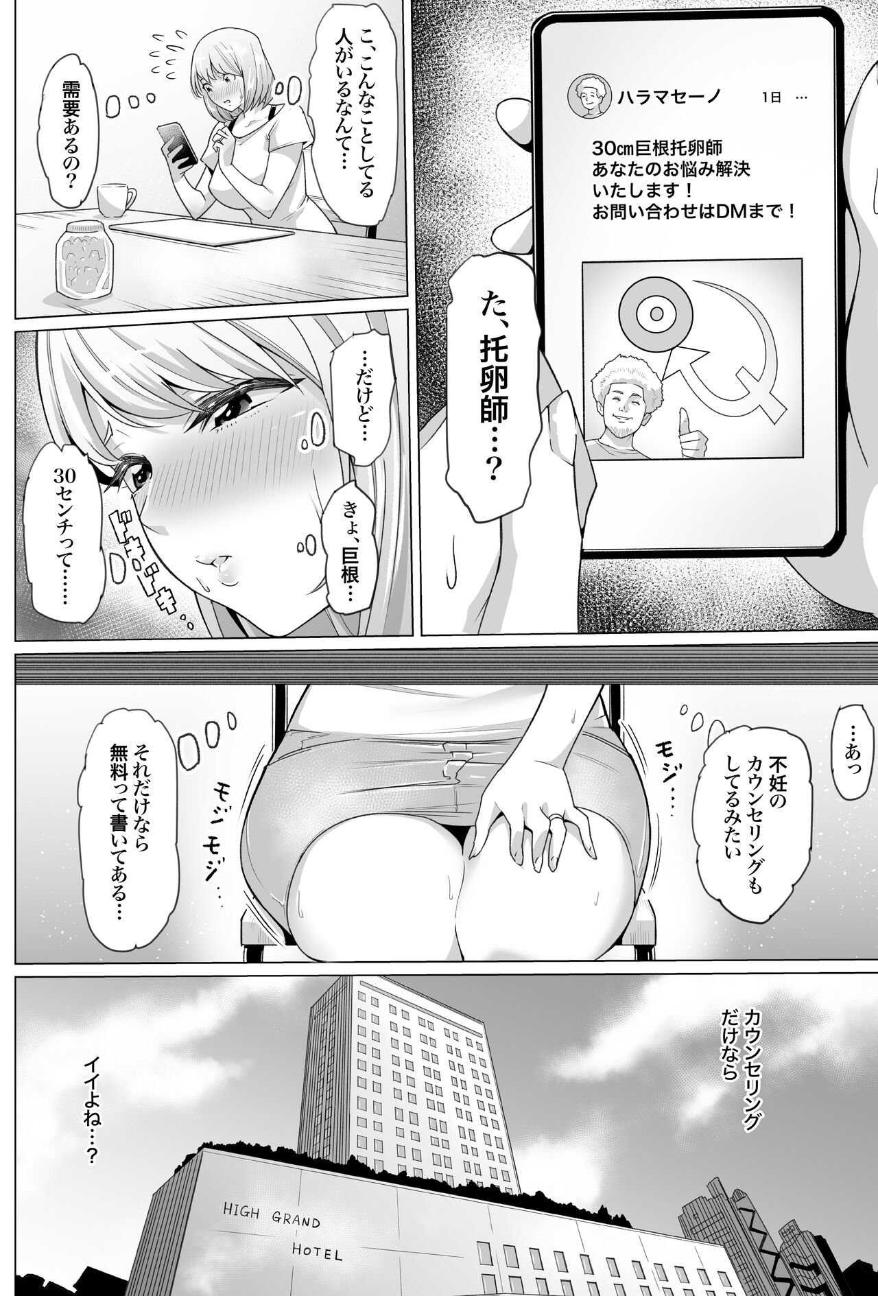 妊娠懇願寝取られ托卵妻～30cm巨根托卵師に孕まされた変態人妻ミカ～ page 5 full