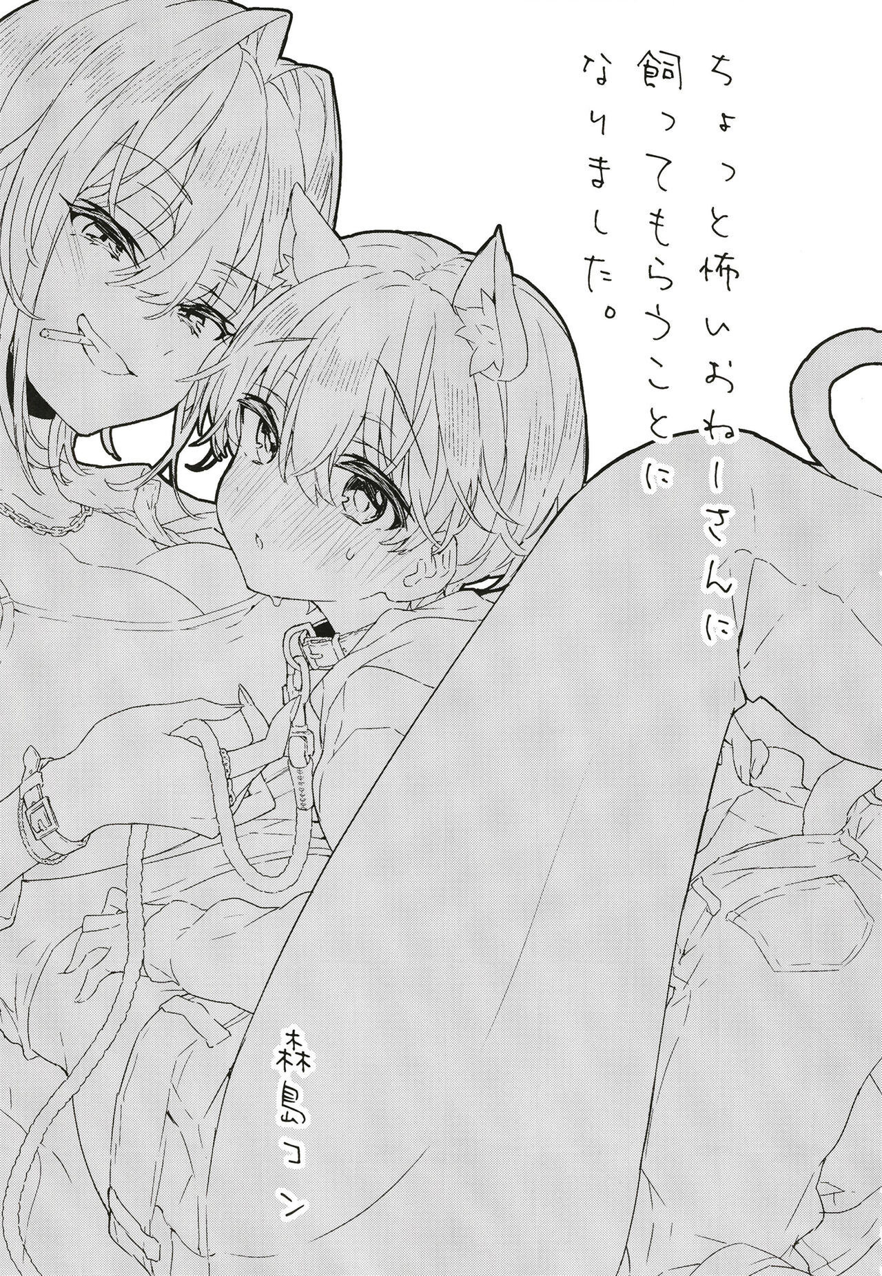 Chotto Kowai Onee-san ni Katte morau Koto ni Narimashita page 2 full