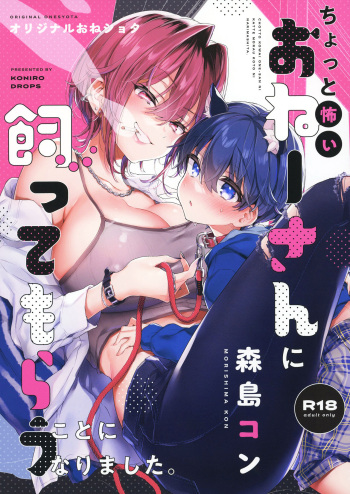 Chotto Kowai Onee-san ni Katte morau Koto ni Narimashita cover
