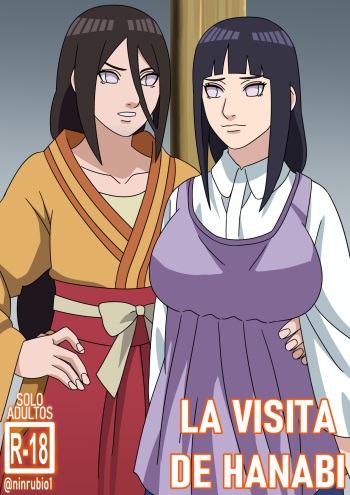 LA VISITA DE HANABI cover