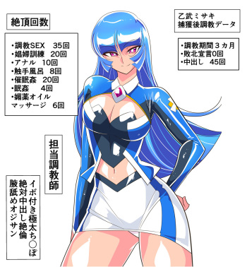 w336【スナップイラスト】乙武ミサキ 捕獲後調教報告 計4枚 cover
