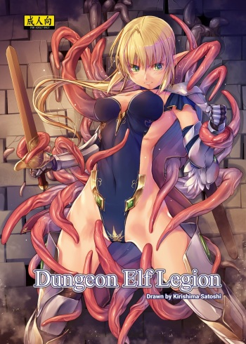 Dungeon Elf Legion cover