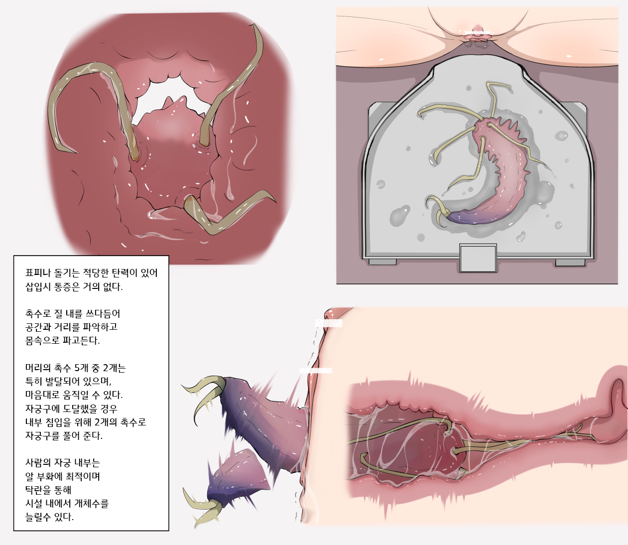 Mushi Research Report No.1 page 3 full