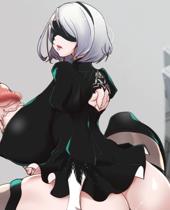 2B cover