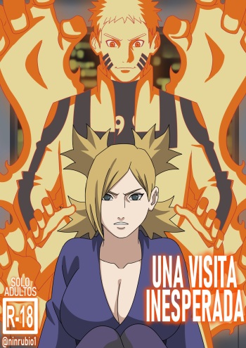UNA VISITA INESPERADA cover