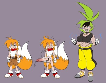 Human sonic designs tails set cover